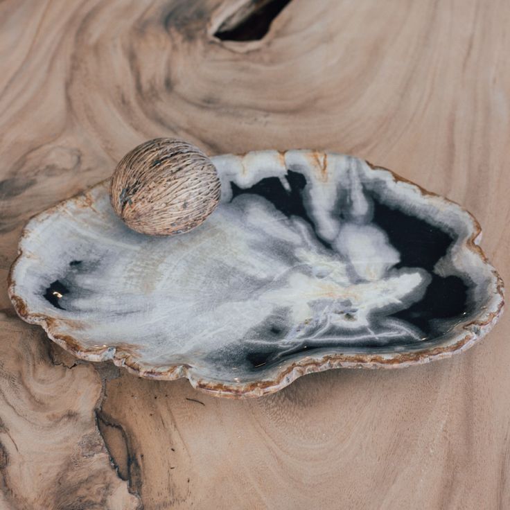 Design Naturale e Funzionale: Fermalibri e Articoli da Tavola in Legno Fossile di Lusso