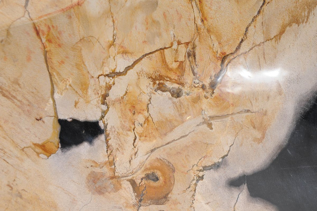 Qual è il Miglior Materiale per il Lavabo Bagno? Confronto tra Ceramica, Marmo, Pietra e Legno Fossile