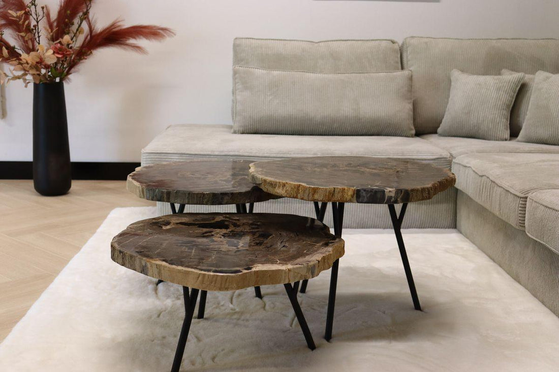 Le caratteristiche uniche e proprietà del legno pietrificato per l'arredamento di design - Esotika