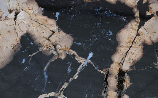 Legno pietrificato: l’eleganza senza tempo per l’arredamento di lusso