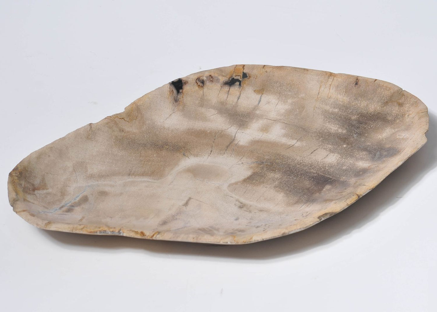 Piatto in legno fossile - 33004c