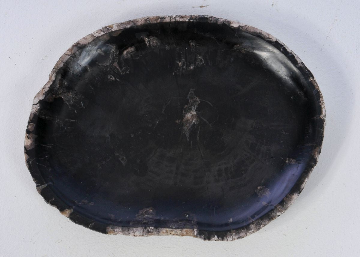 Piatto in legno fossile - 38064