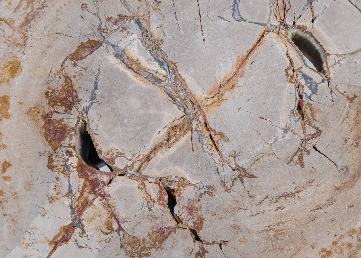Lastra per tavolino in legno fossile - 44135