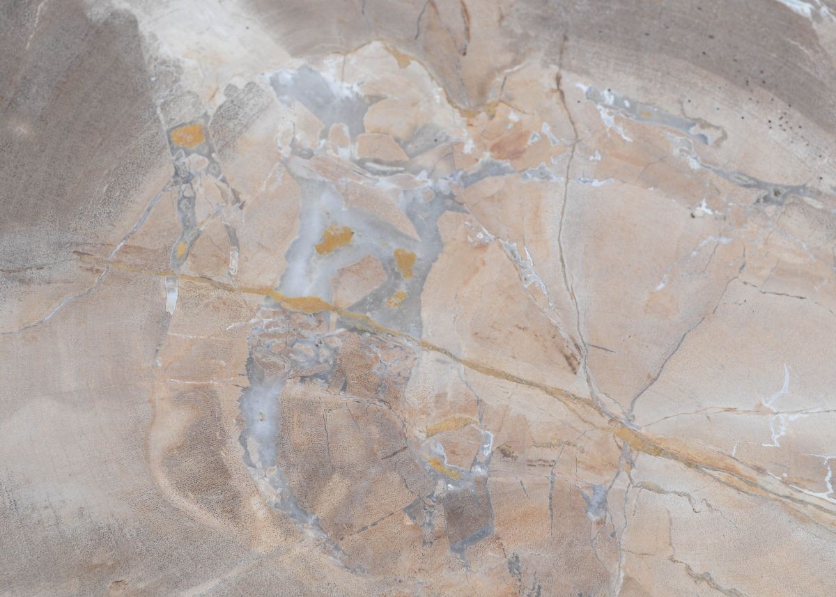 Lastra per tavolino in legno fossile - 45166