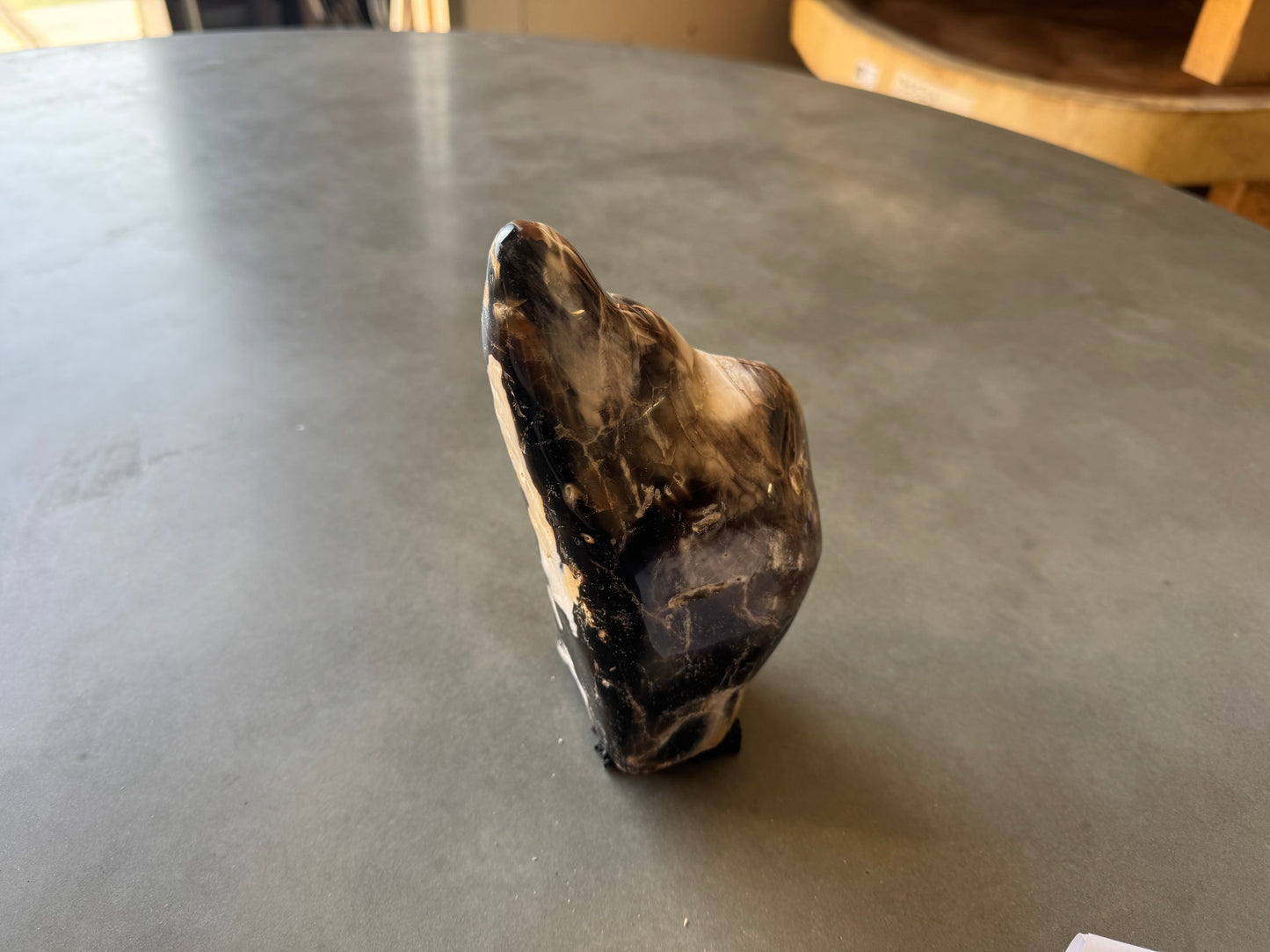 Scultura in legno fossile - 50007A-3