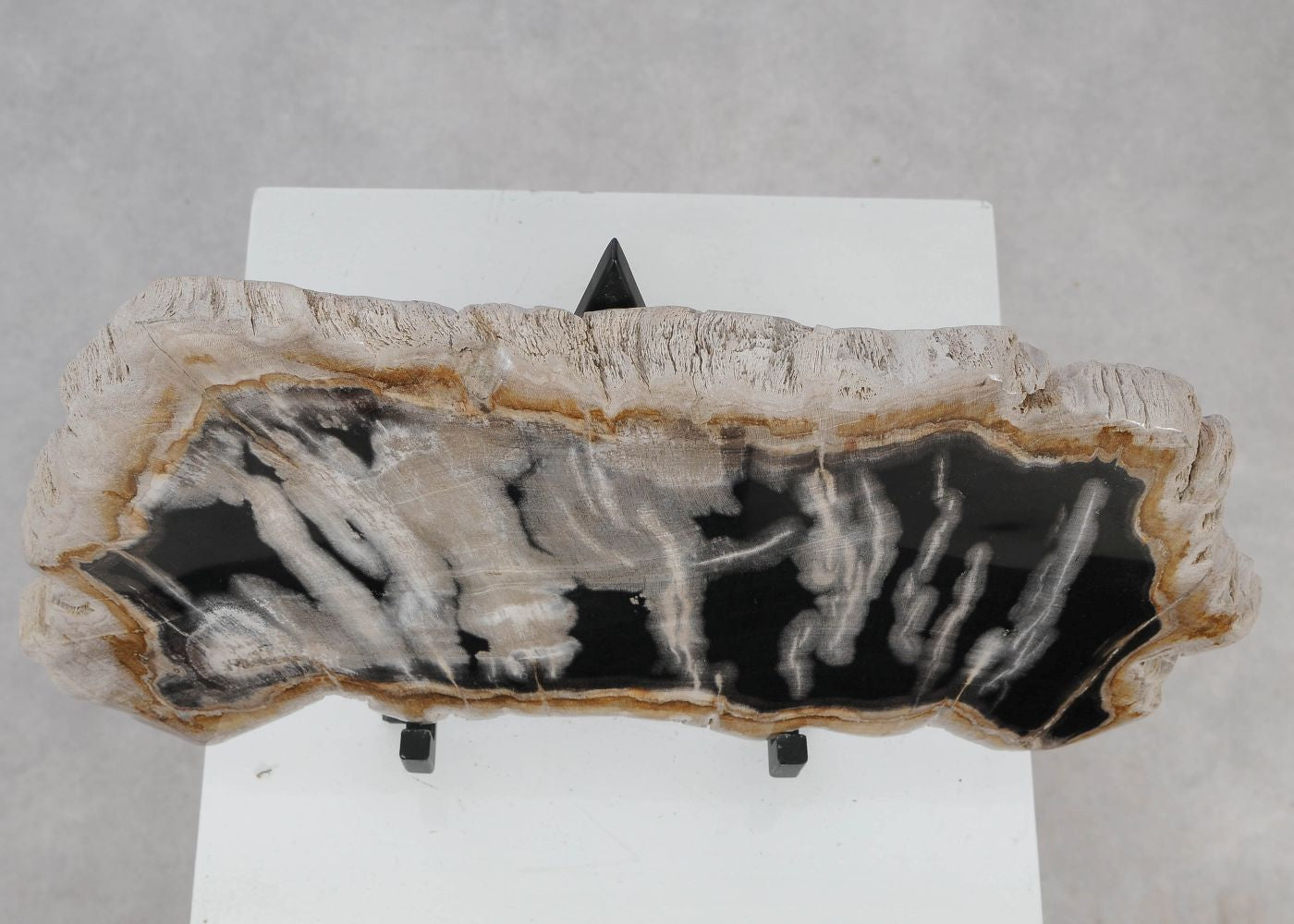 Lastra per tavolino in legno fossile - 51459