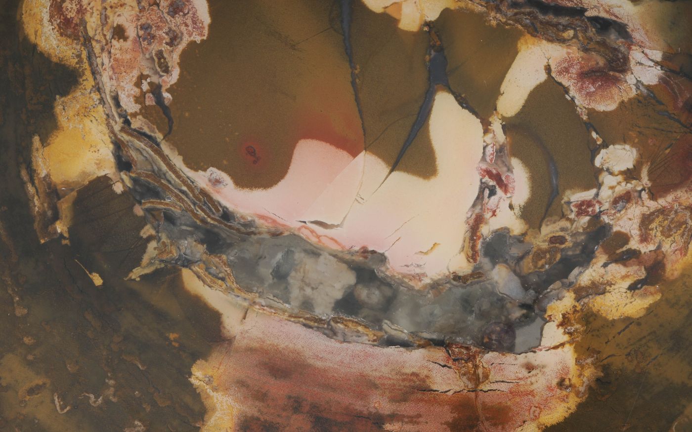 Lastra per tavolino in legno fossile - 53357