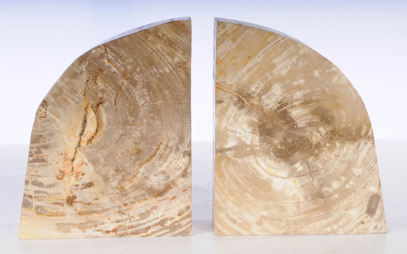 Coppia di fermalibri in legno pietrificato - 53361