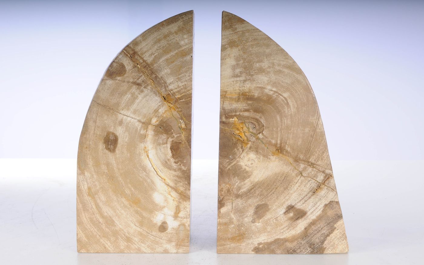 Coppia di fermalibri in legno pietrificato - 53363