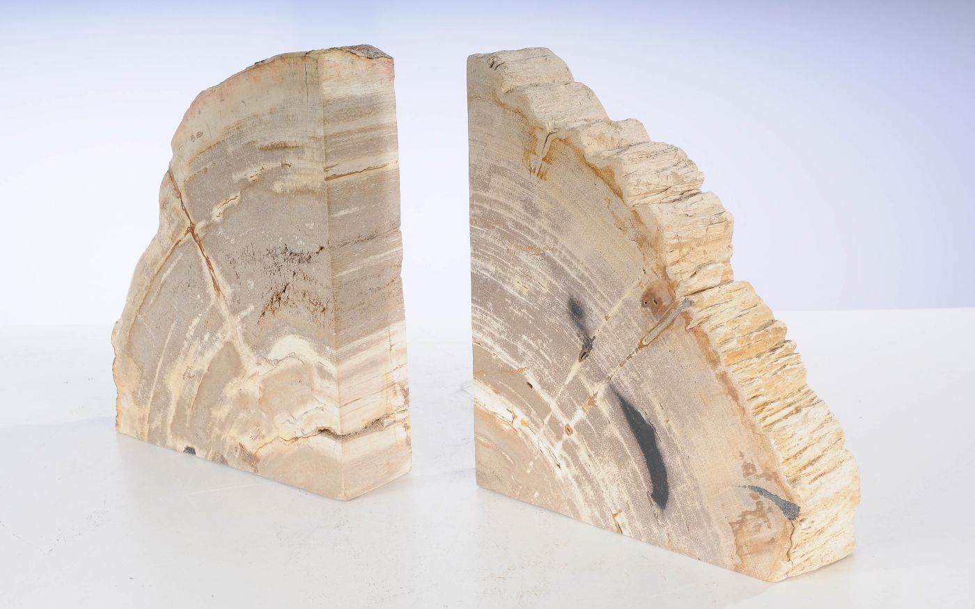 Coppia di fermalibri in legno pietrificato - 53378