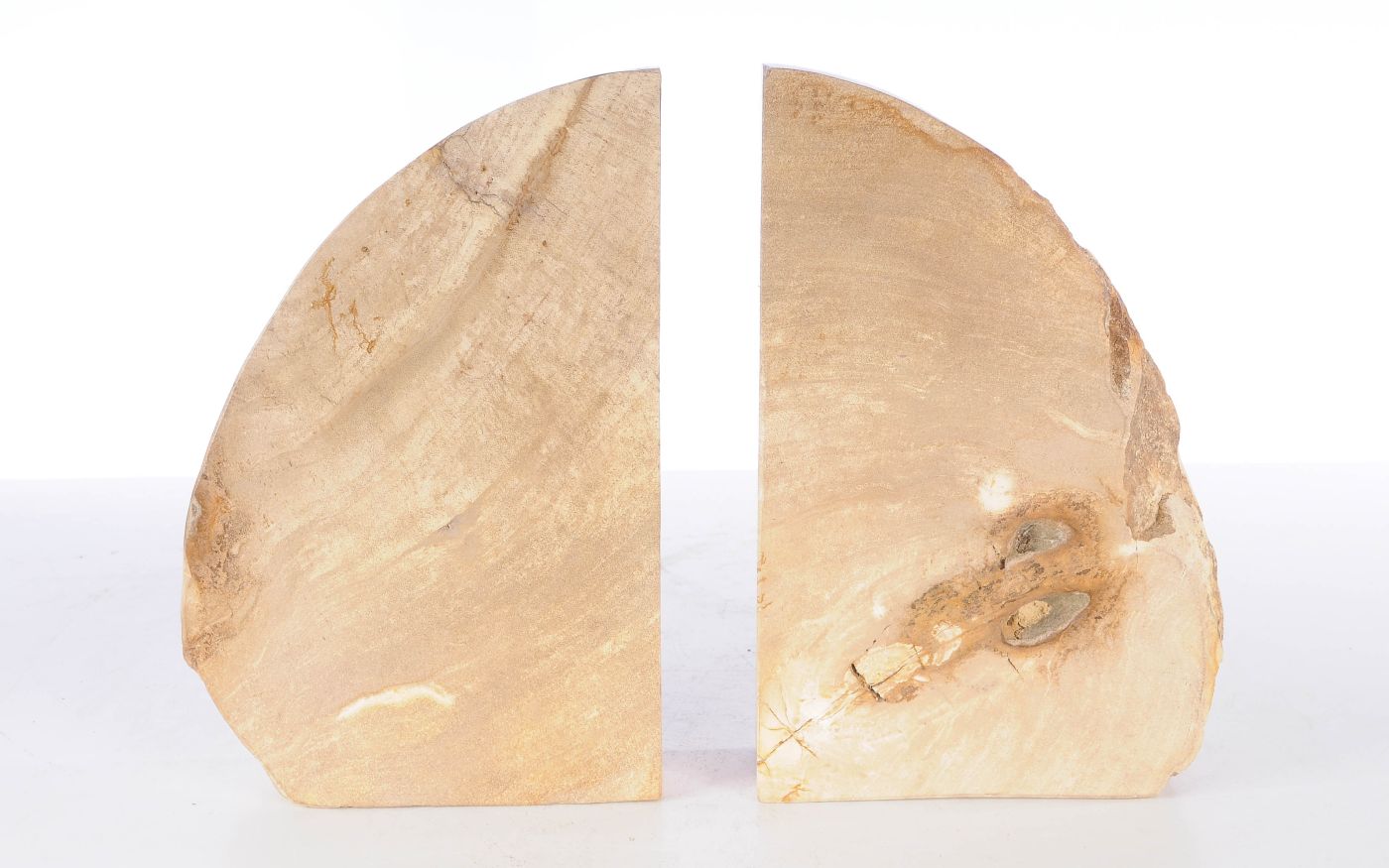 Coppia di fermalibri in legno pietrificato - 53384