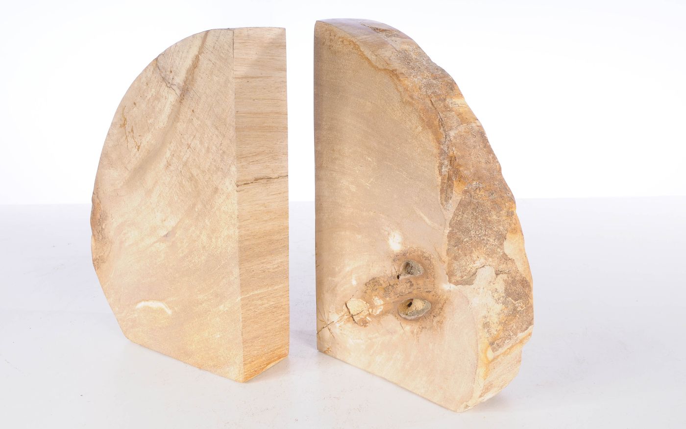 Coppia di fermalibri in legno pietrificato - 53384