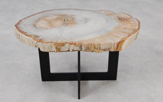 Lastra per tavolino in legno fossile - 55207