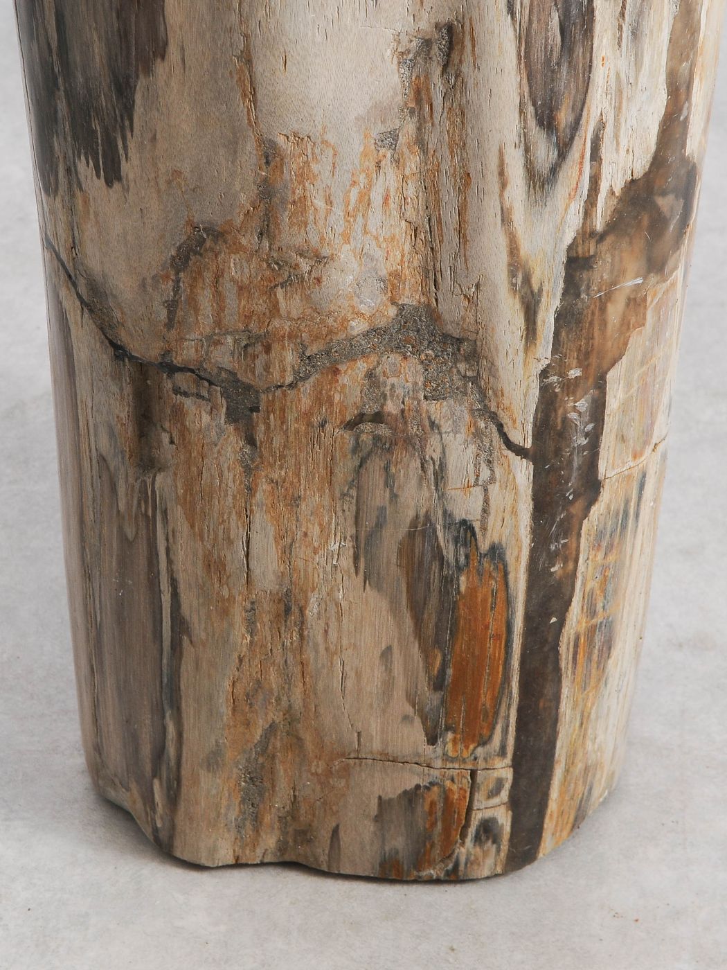 Tavolino tronco in legno pietrificato - 56000