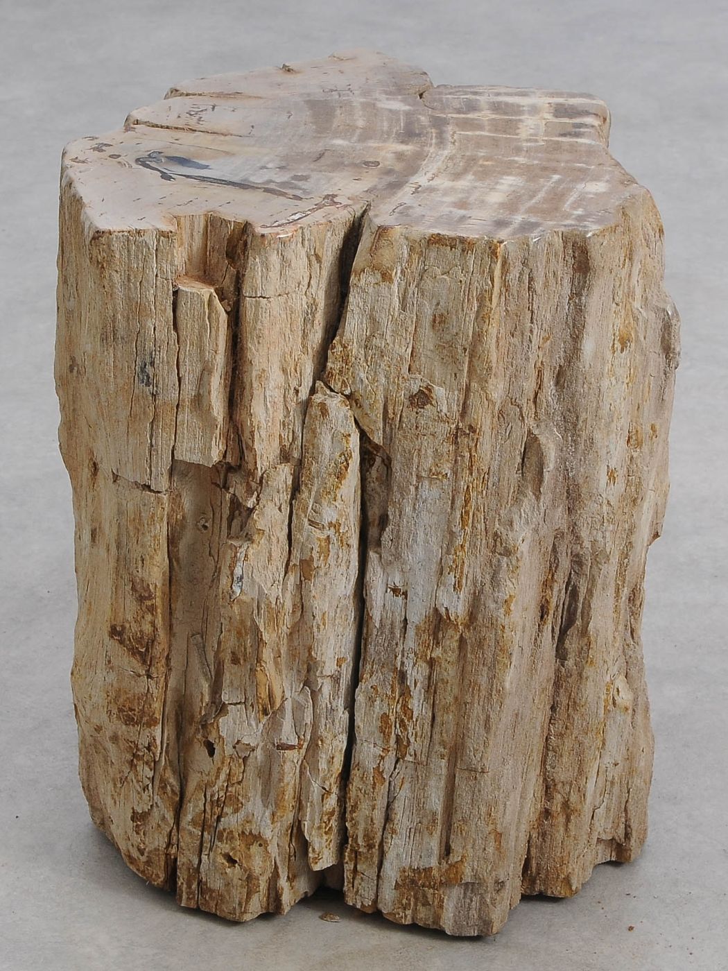 Tavolino tronco in legno pietrificato - 56003