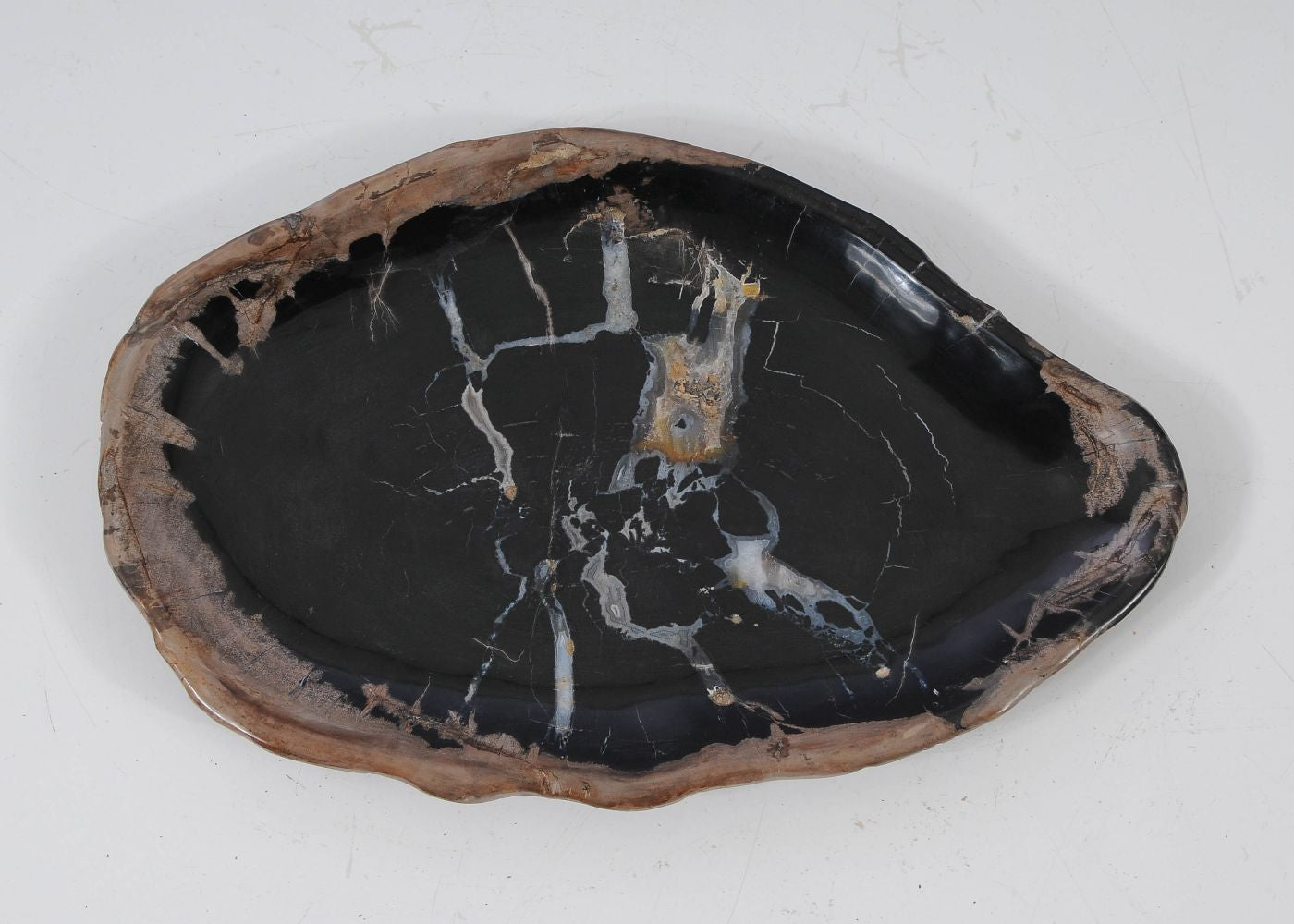 Piatto in legno pietrificato - 57338