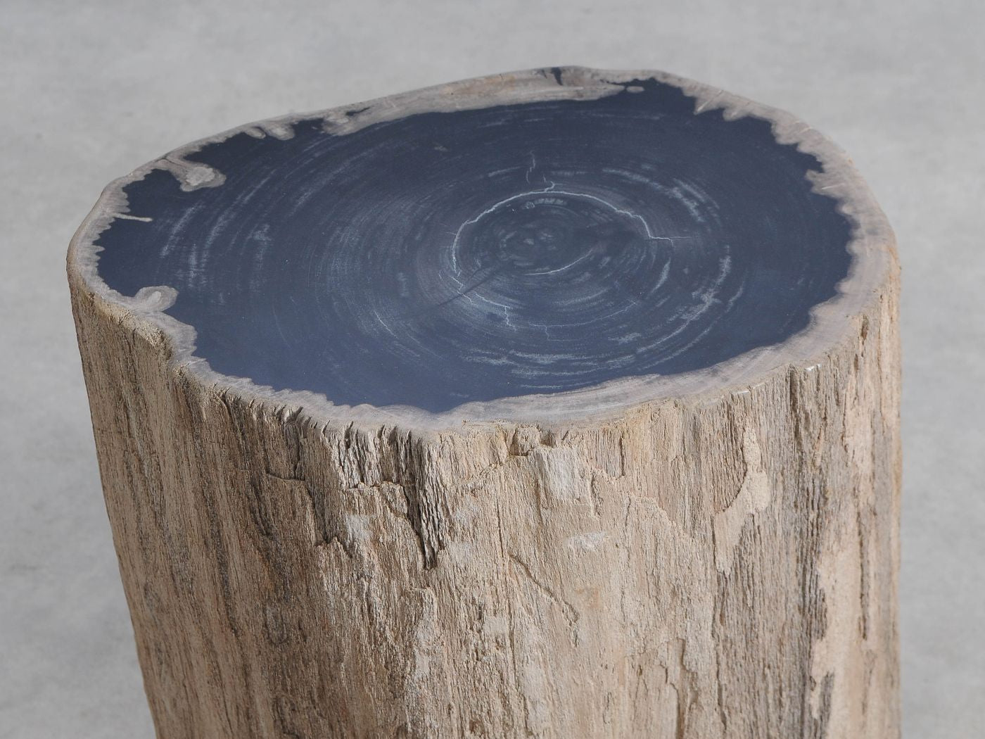 Tavolino tronco in legno pietrificato - 59029