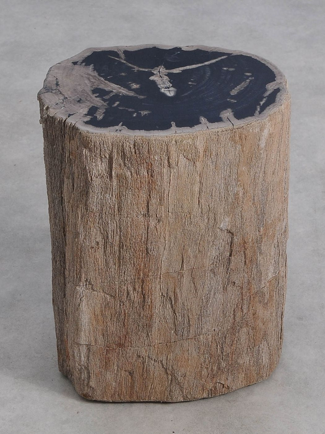 Tavolino tronco in legno pietrificato - 59033