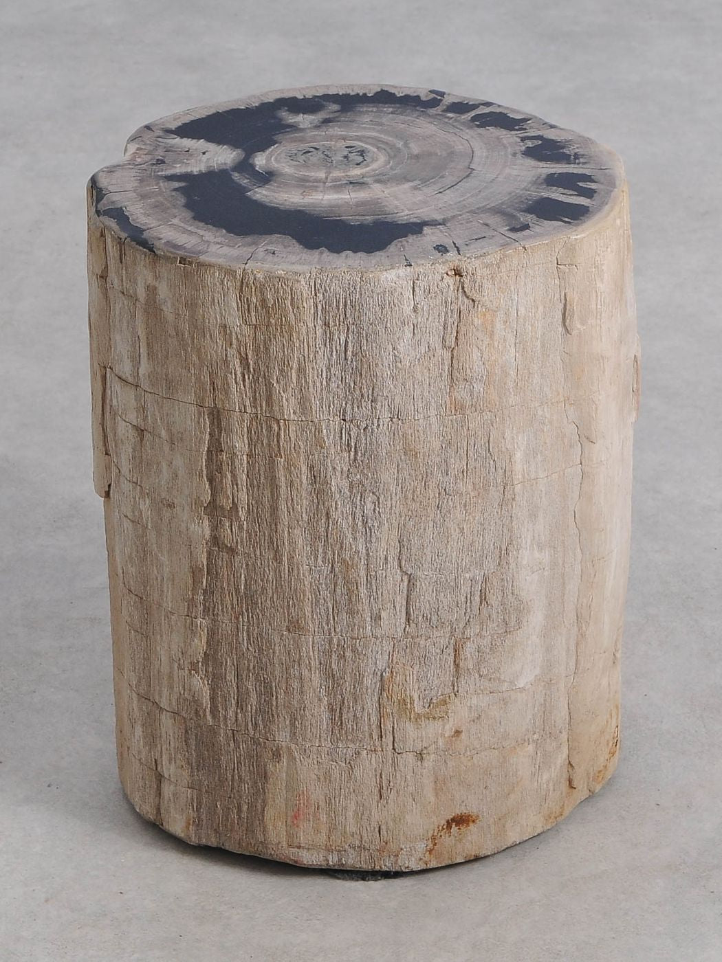 Tavolino tronco in legno pietrificato - 59036