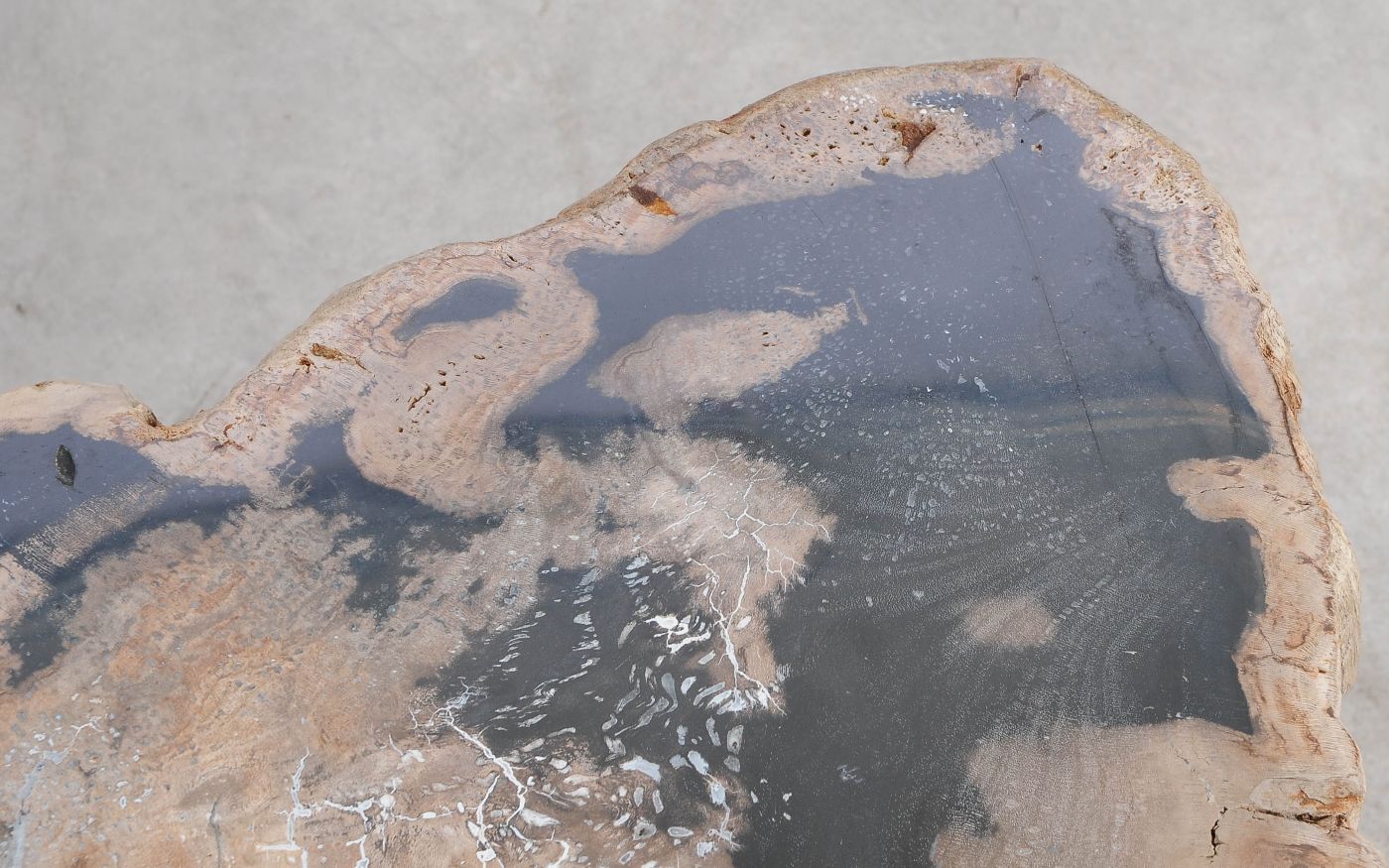 Lastra per tavolino in legno fossile - 59279
