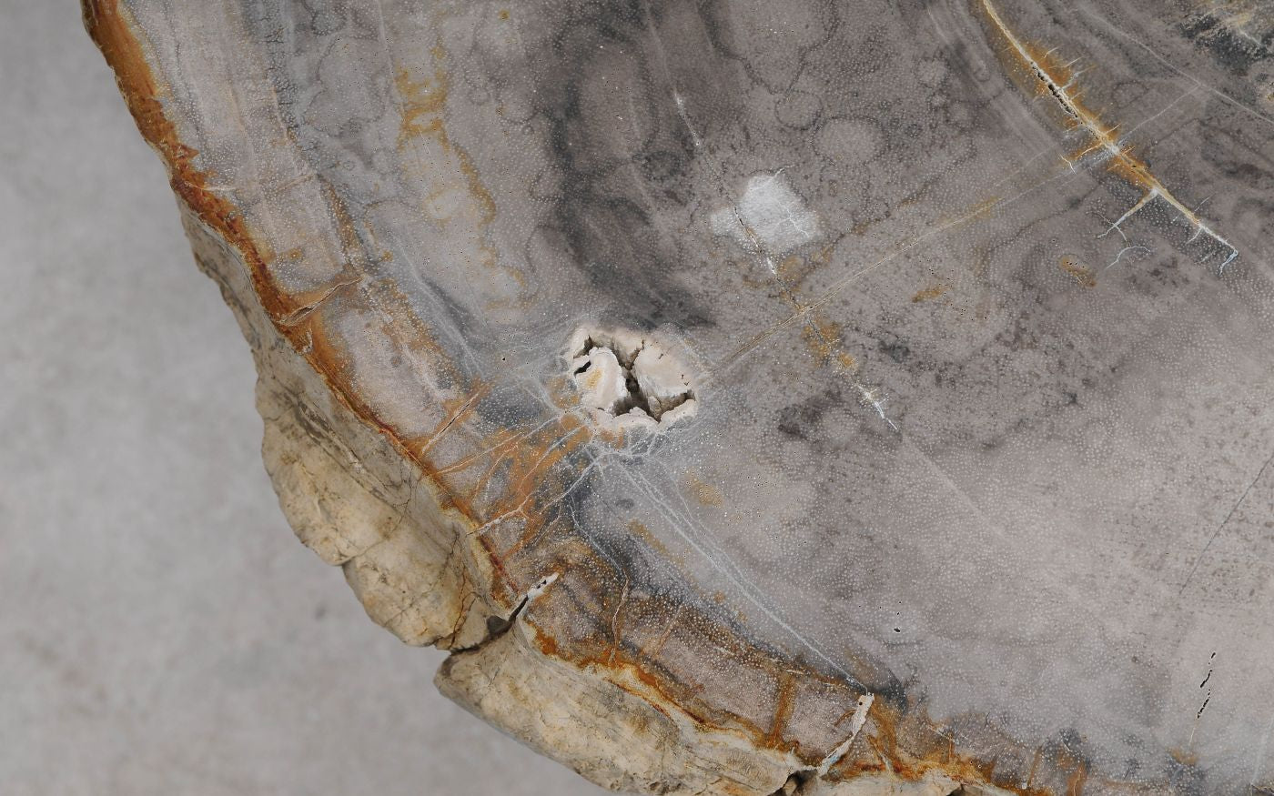 Lastra per tavolino in legno fossile - 60347