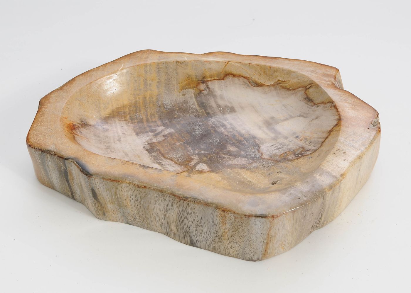 Piatto in legno fossile - 60374m