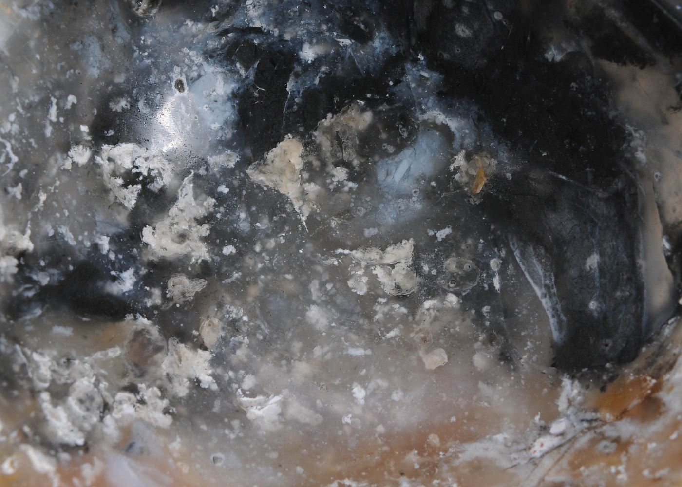 Ciotola in legno pietrificato - 58033