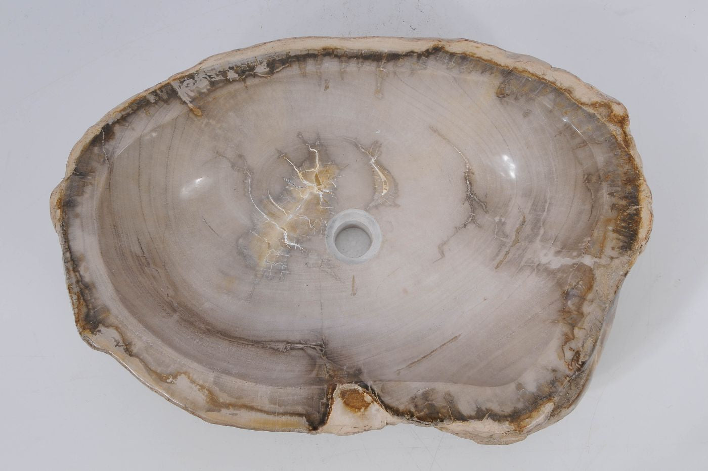 Lavandino in legno pietrificato - 53405 - Esotika