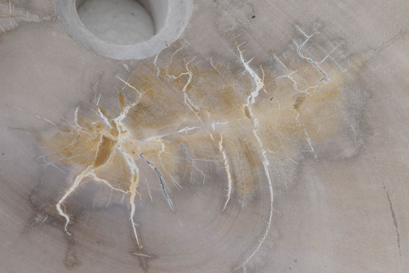 Lavandino in legno pietrificato - 53405 - Esotika