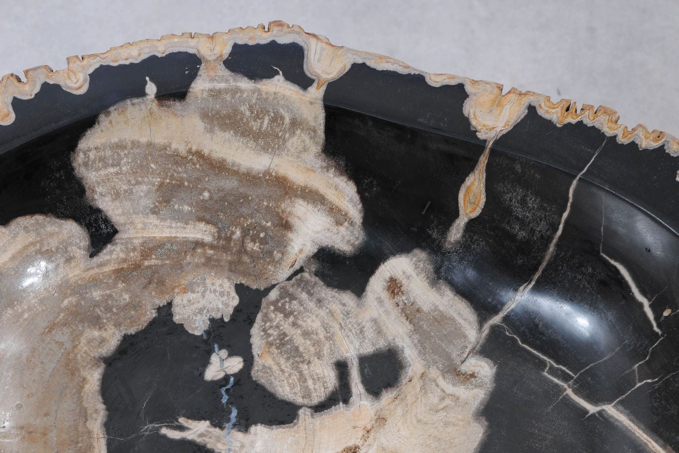 Lavandino in legno pietrificato - 55281 - Esotika