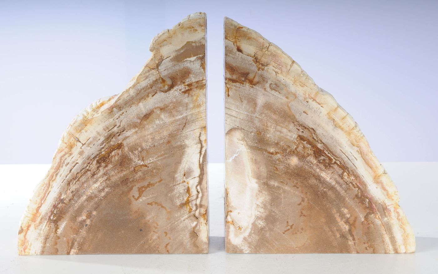 Coppia di fermalibri in legno pietrificato - 53365 - Esotika