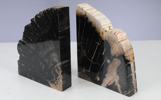 Coppia di fermalibri in legno pietrificato - 53367 - Esotika