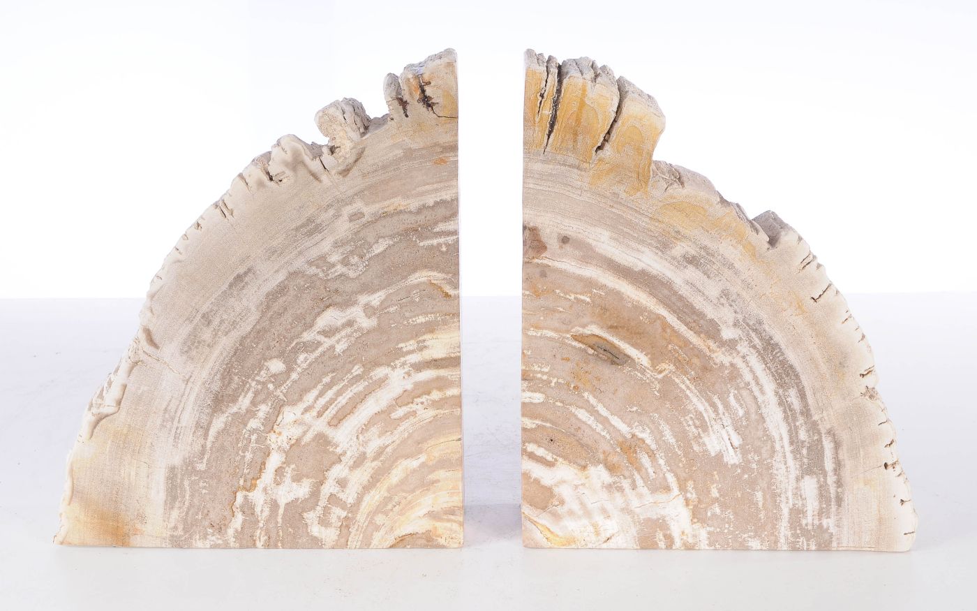 Coppia di fermalibri in legno pietrificato - 53371 - Esotika