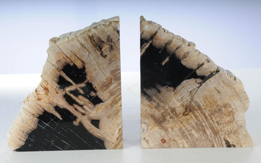 Coppia di fermalibri in legno pietrificato - 53480 - Esotika