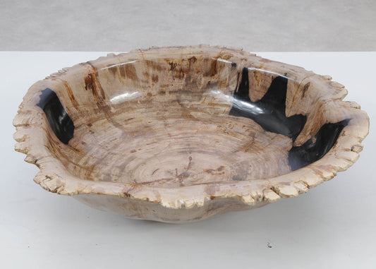 Ciotola in legno pietrificato - 51305 - Esotika