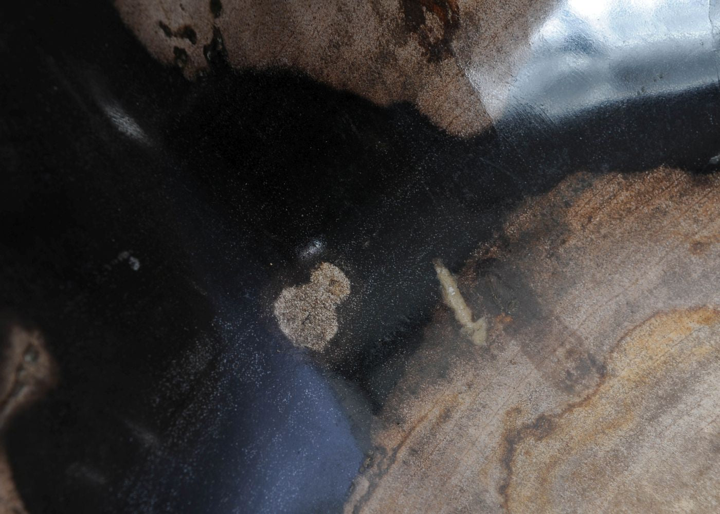 Ciotola in legno pietrificato - 51305 - Esotika