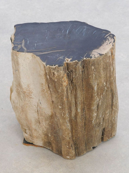 Tavolino tronco in legno pietrificato - 48191 - Esotika