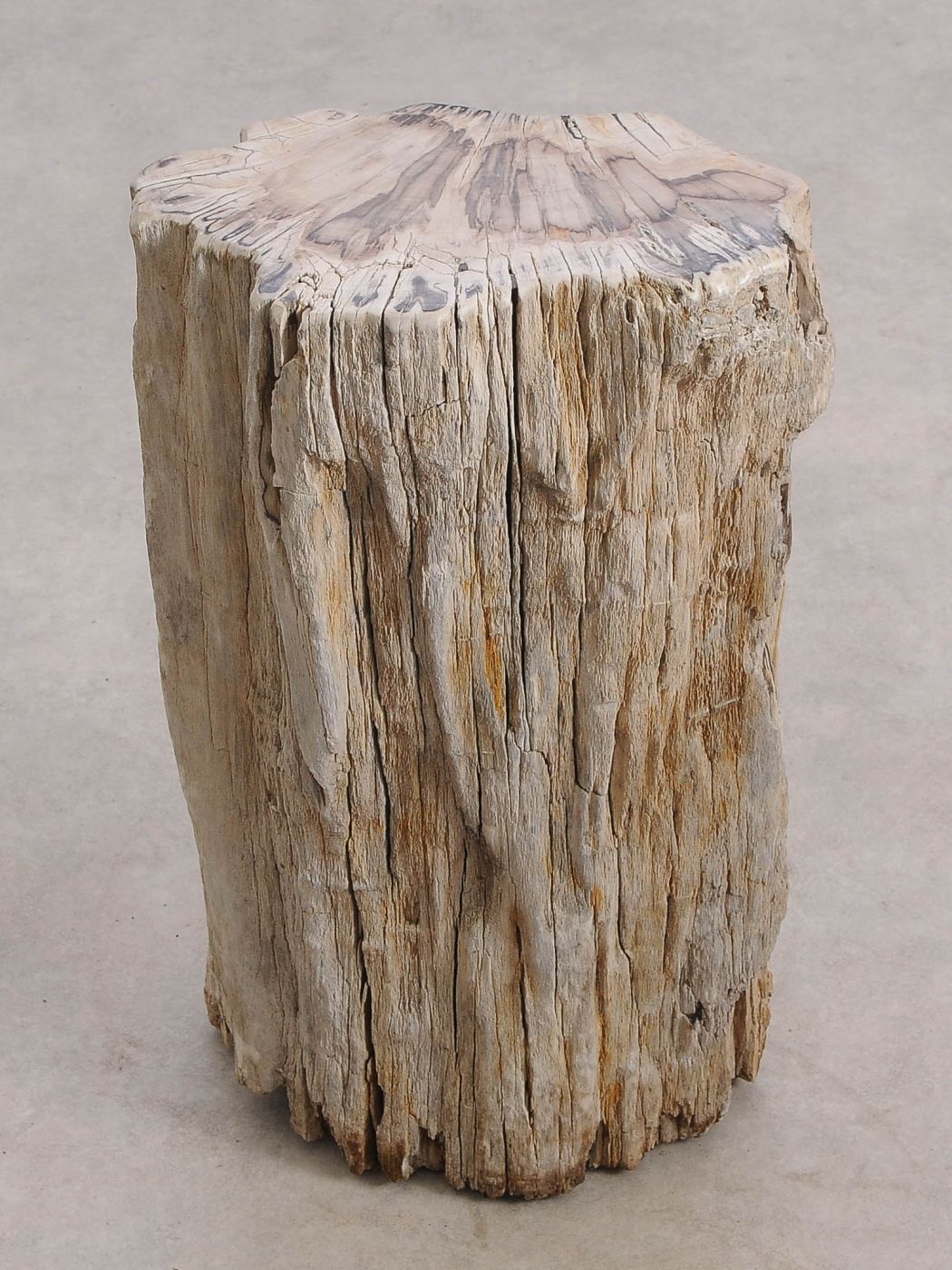 Tavolino tronco in legno pietrificato - 55001 - Esotika