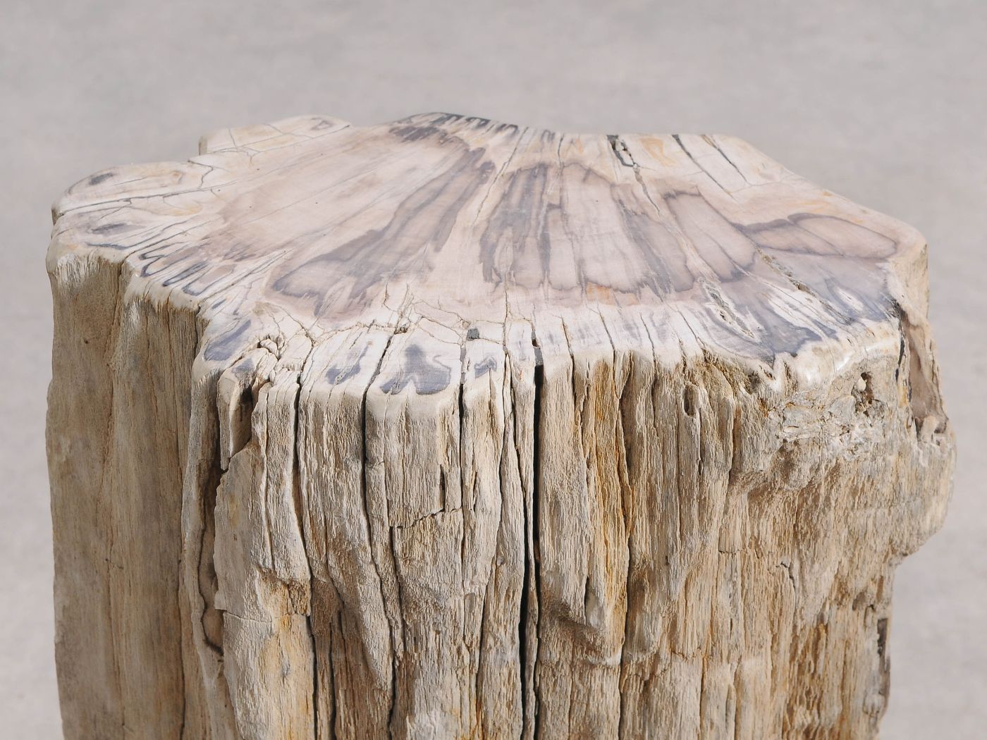 Tavolino tronco in legno pietrificato - 55001 - Esotika