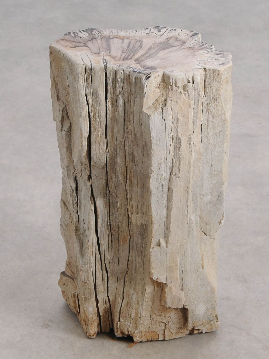 Tavolino tronco in legno pietrificato - 55001 - Esotika