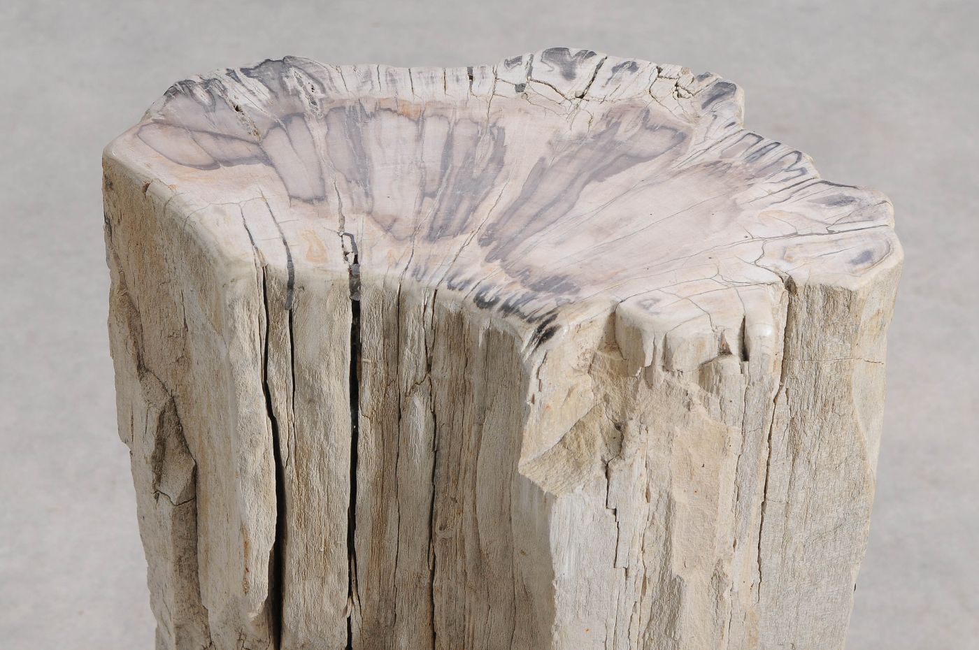 Tavolino tronco in legno pietrificato - 55001 - Esotika