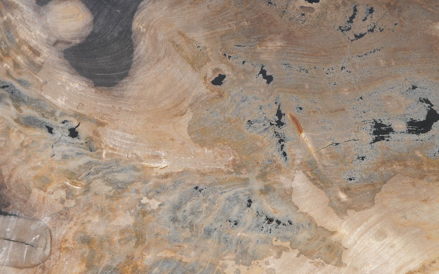 Lastra per tavolo in legno fossile - 55296