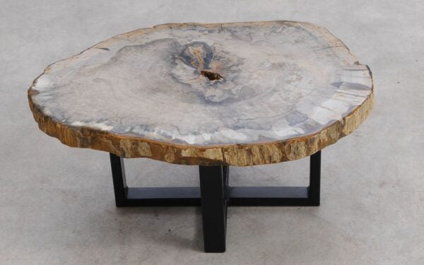 Tavolino caffè in legno pietrificato - 57223 - Esotika
