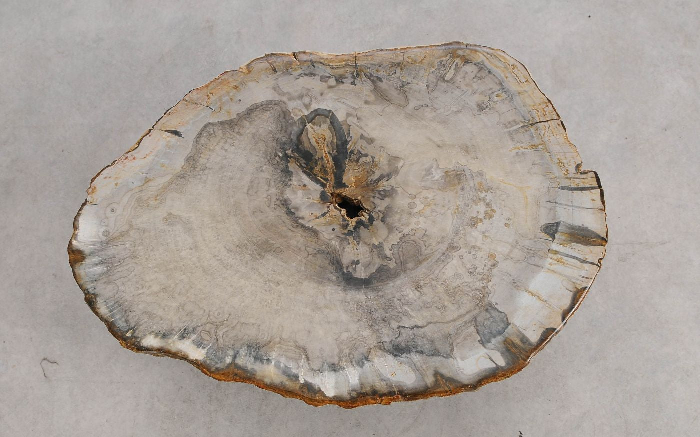 Tavolino caffè in legno pietrificato - 57223 - Esotika