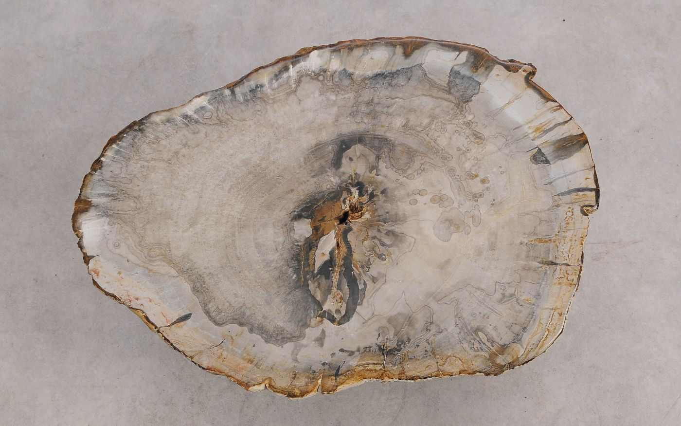 Tavolino caffè in legno pietrificato - 57248 - Esotika