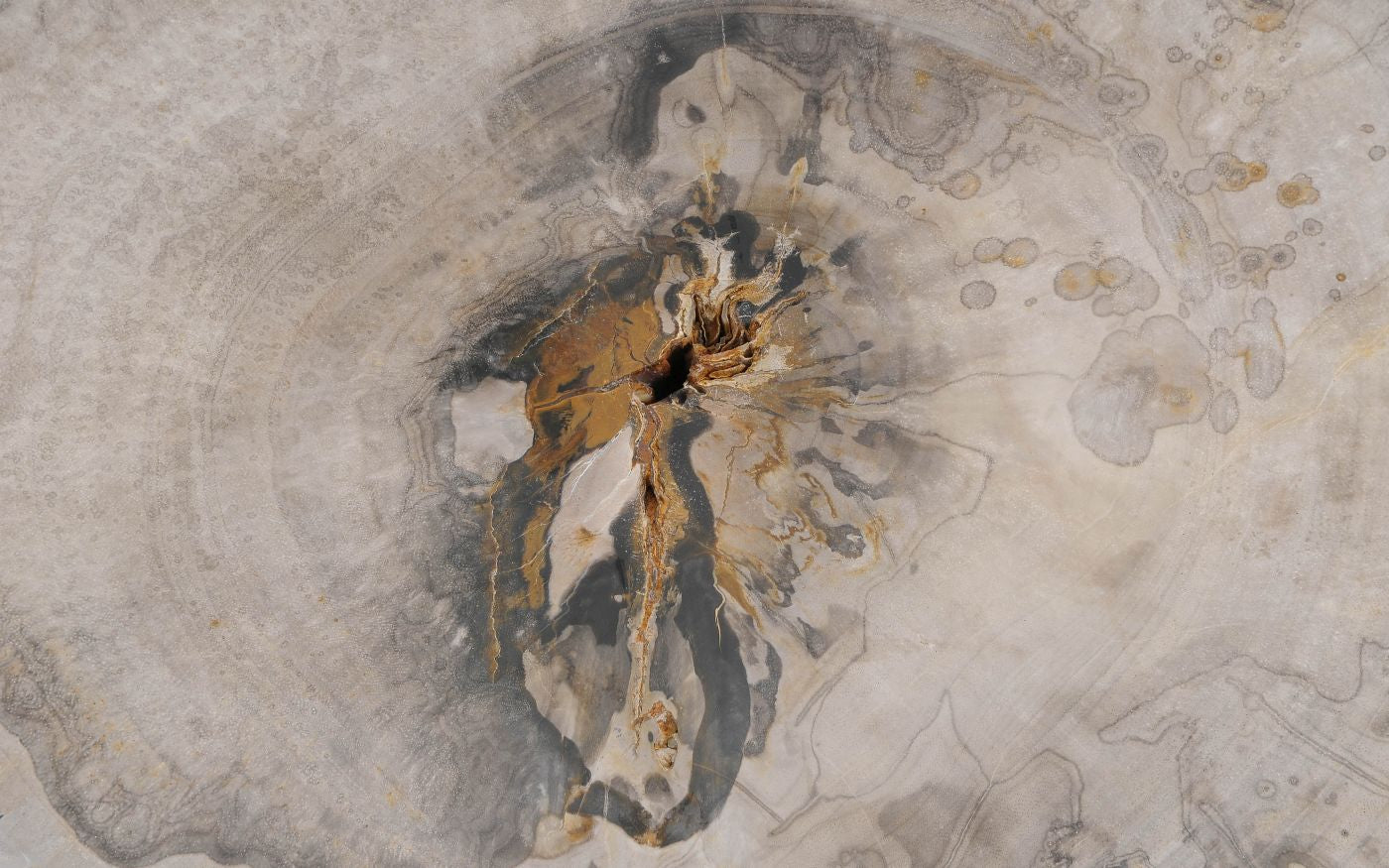 Tavolino caffè in legno pietrificato - 57248 - Esotika