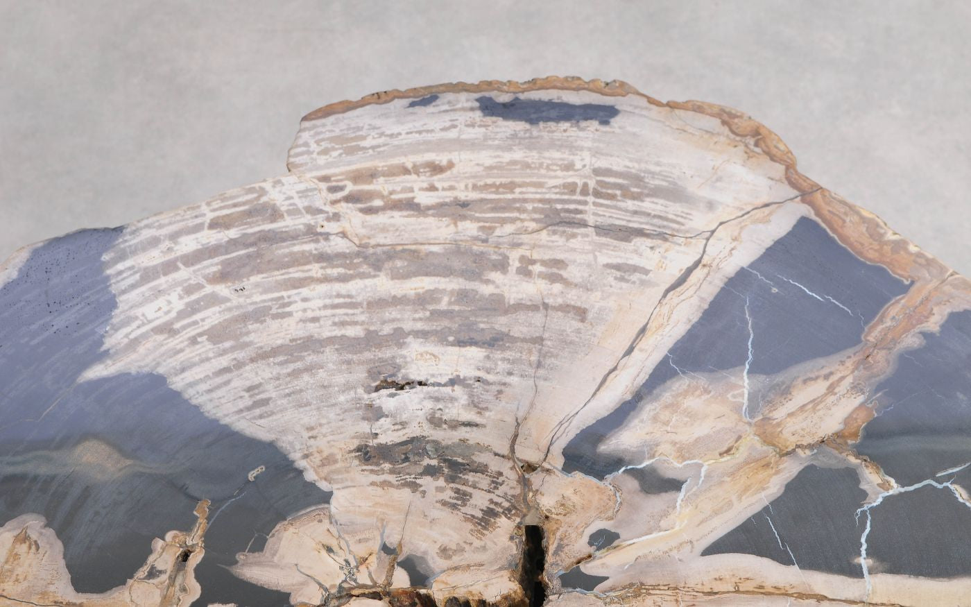 Tavolino caffè in legno pietrificato - 58254 - Esotika