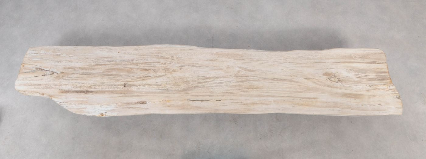 Tavolo consolle in legno pietrificato - 54234 - Esotika