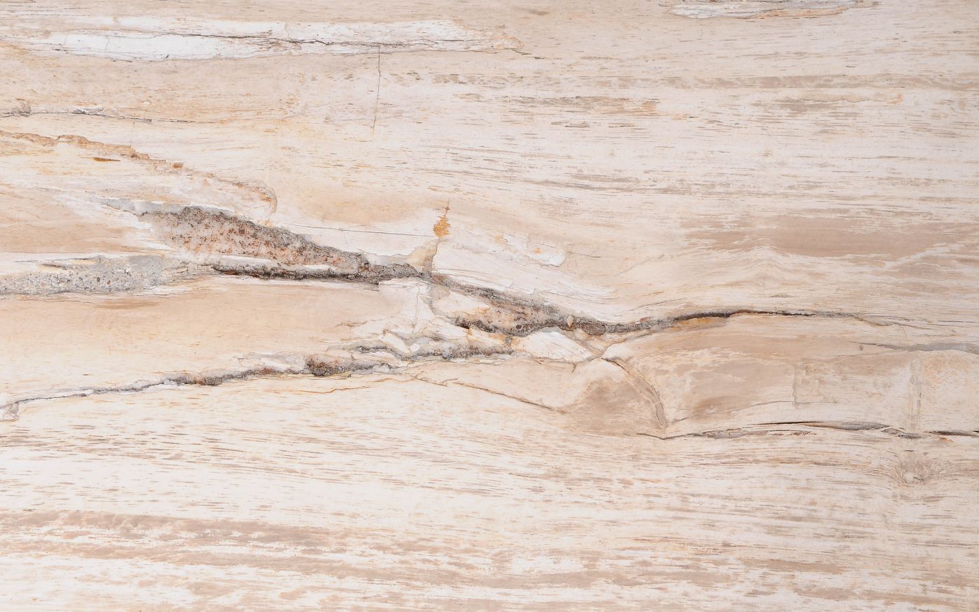 Tavolo consolle in legno pietrificato - 54234 - Esotika