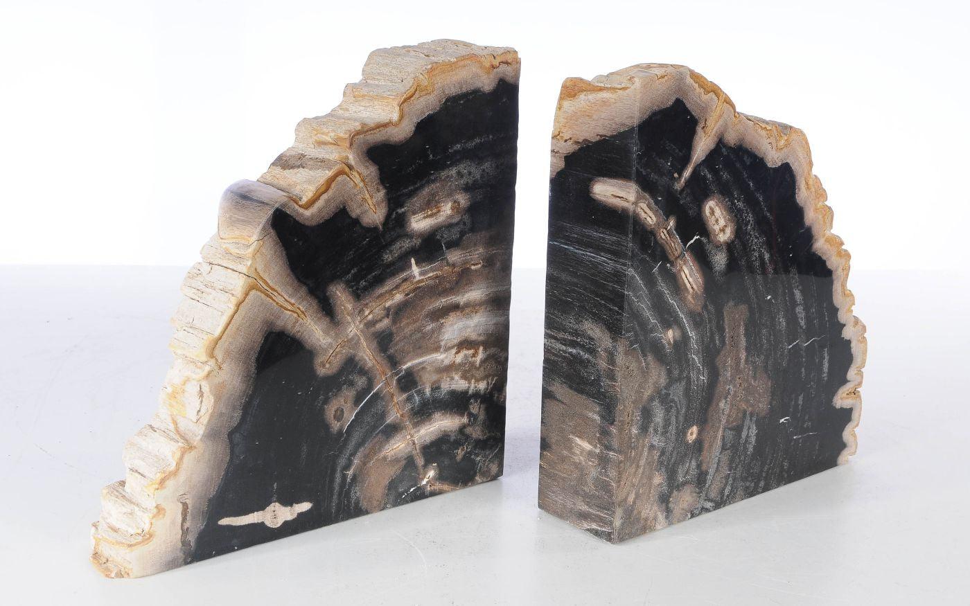 Coppia di fermalibri in legno pietrificato - 53379 - Esotika